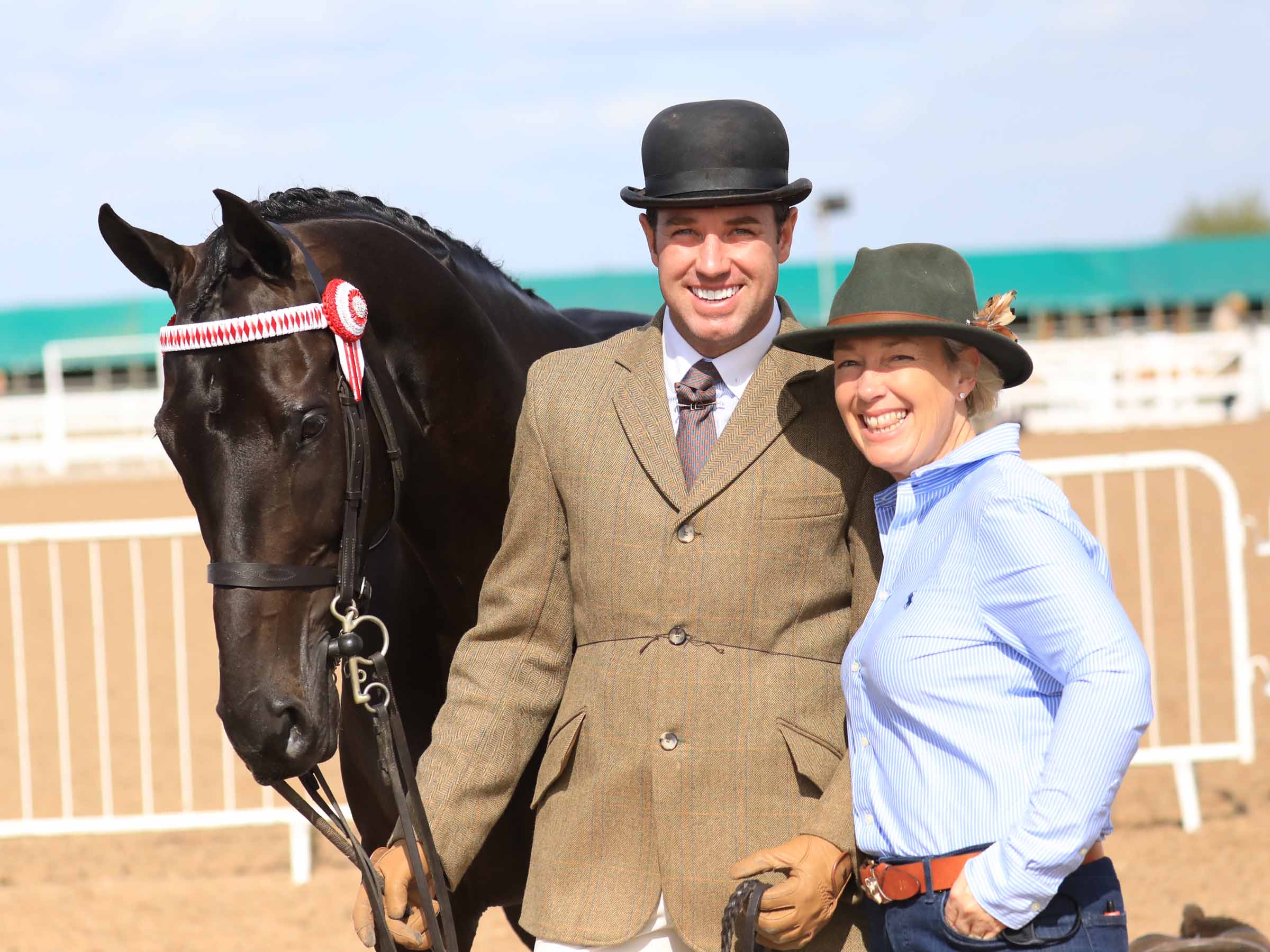 the-british-show-horse-association