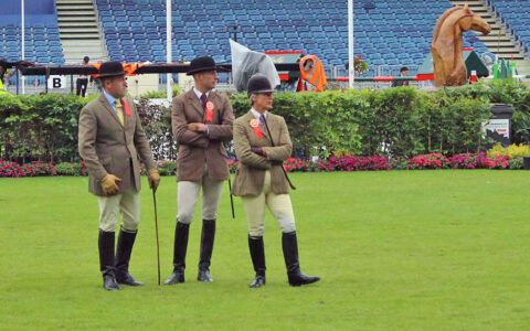 | The British Show Horse Association