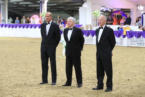BSHA Judges
