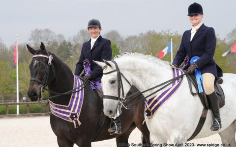 BSHA Southern Spring Show
