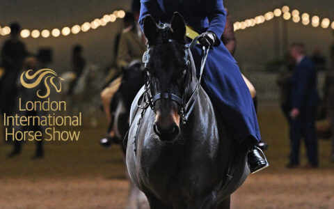 LIHS 2023 Competitor Webinar