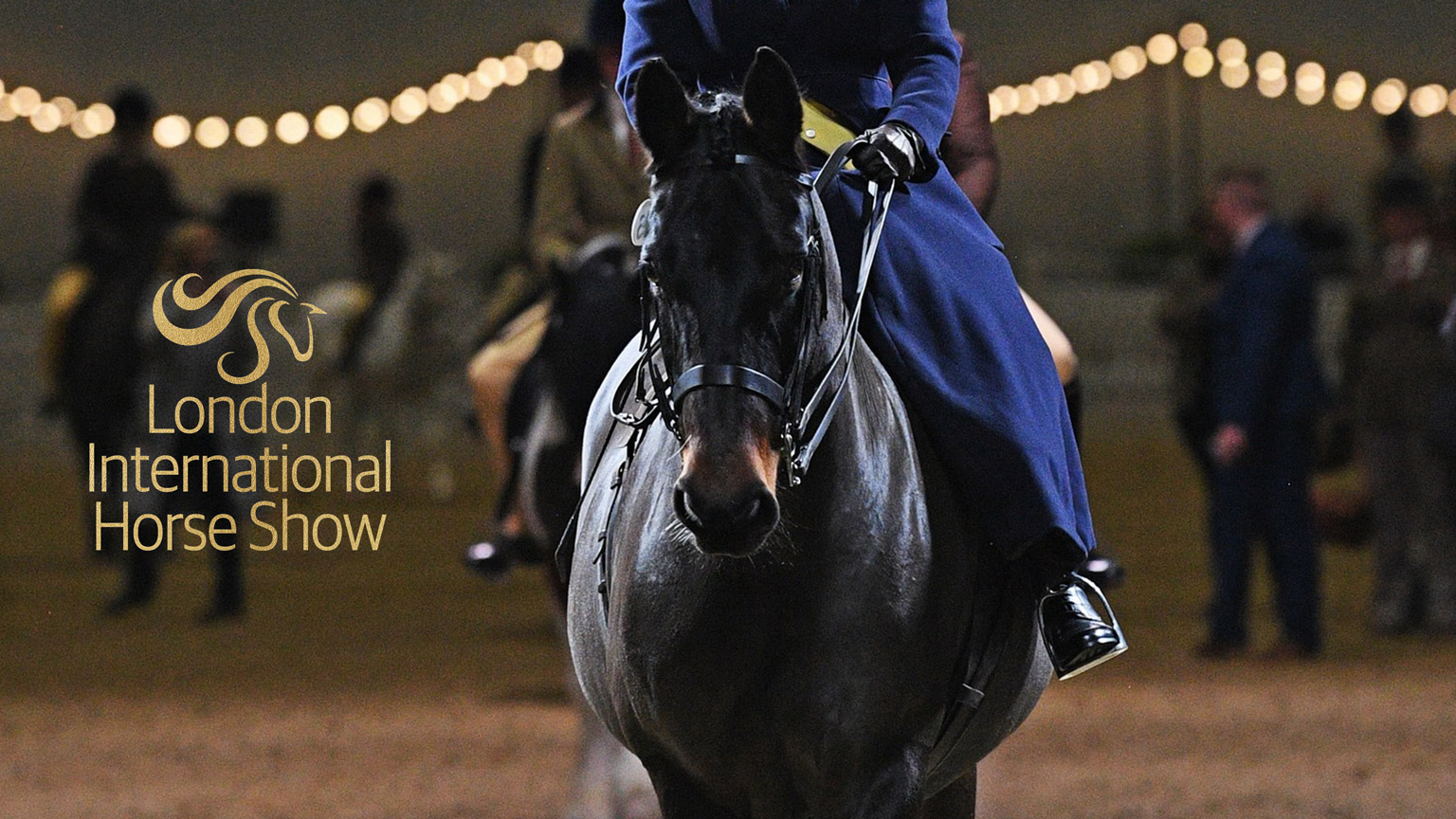 The British Show Horse Association