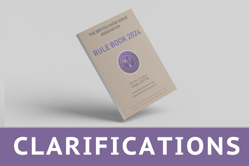 Rulebook Clarifications