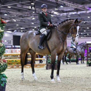 Anna Higgins & Millmount Maestro - Working Hunter Type