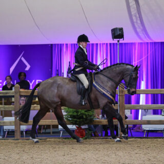 Chloe Owen & Tarr Dauntless - Small/Lightweight Hunter