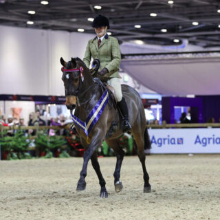 Isabella Stagg & Quite A Compliment - Working Show Horse