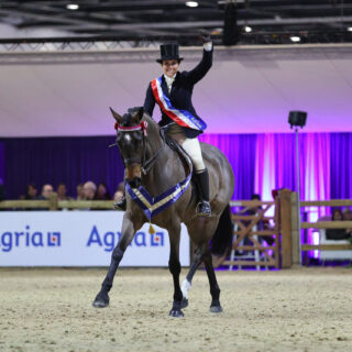 Jennie Durrans & Lady Buttons - Racehorse to show horse