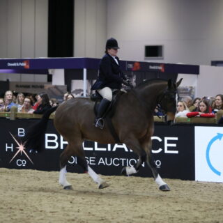 Lisa Hardy & Cortina - Maxi Cob