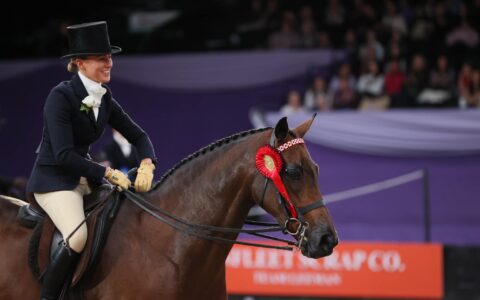 Format of the Hack Final HOYS 2025