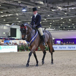 Tori Thomas & Wonga Swinger - Large Riding Horse