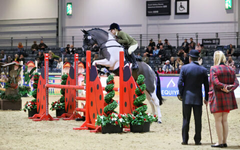 LIHS Judges 2025