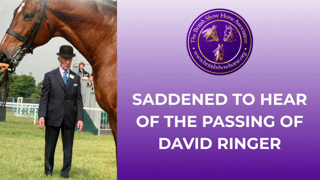 David Ringer - Judging