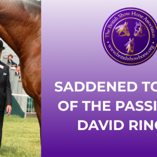 David Ringer - Judging